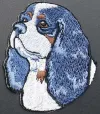 Lifeng Embroidery Products, embroidery patches, computer embroidery trademarks, clothing accessories Application Scenario